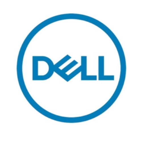 Dell - Custom Kit - HDD - 22 TB - hot swap - 3.5" - SAS 12Gb/s - 7200 rpm